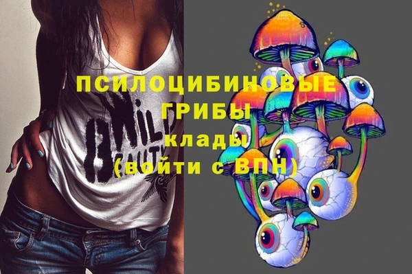 бошки Беломорск