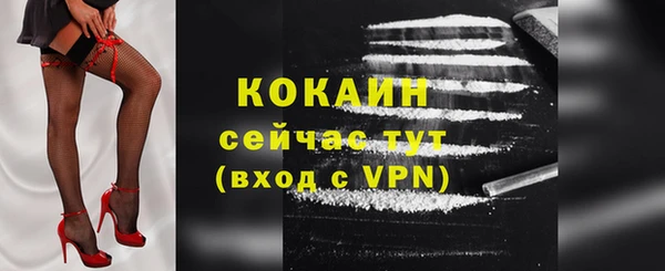 соль ск Белокуриха
