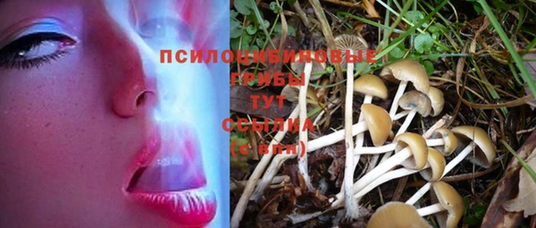 соль ск Белокуриха